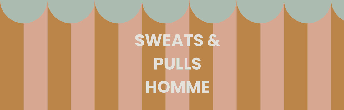Sweats & Pulls Homme